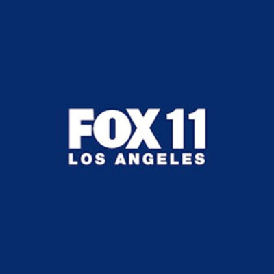 fox-11