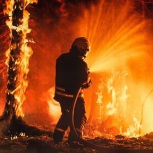 wildfire insurance claim in LA