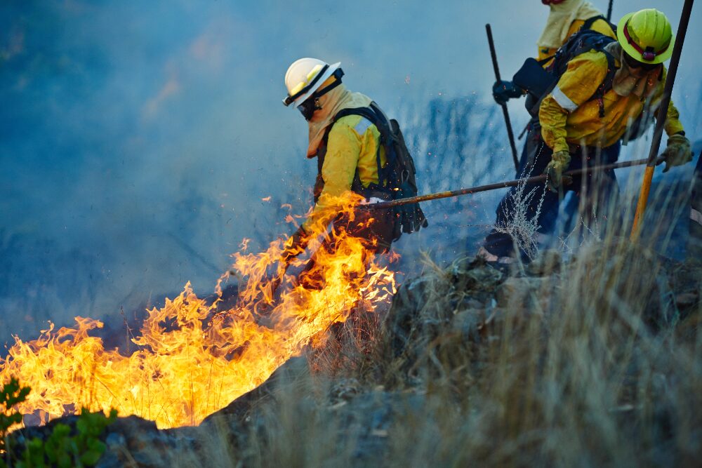Fire in Los Angeles where residents need employment law lawyer